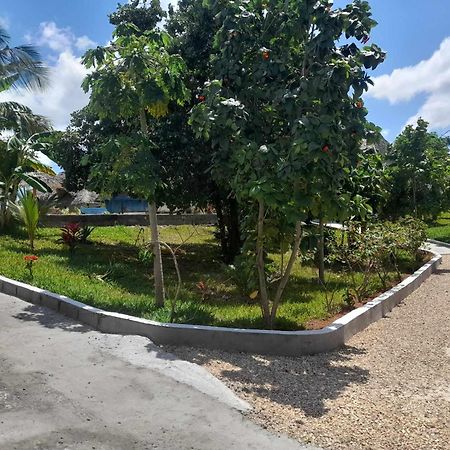 Africa Dream Bungalow Kiwengwa Hotel Kiwengwa  Bagian luar foto